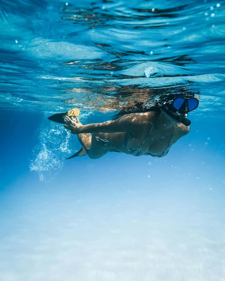Mombasa: Wasini Dolphin Tour - Price and value: where $115 makes sense and where it can disappoint
