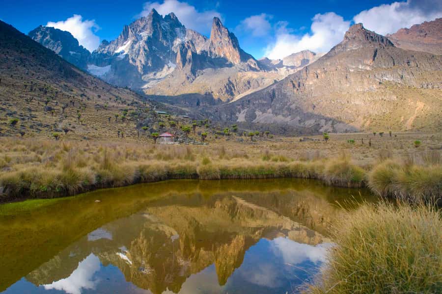 Mt Kenya: Full-day hiking tour from Nairobi - The Nairobi to Siri Moni Gate drive: early start, long hours