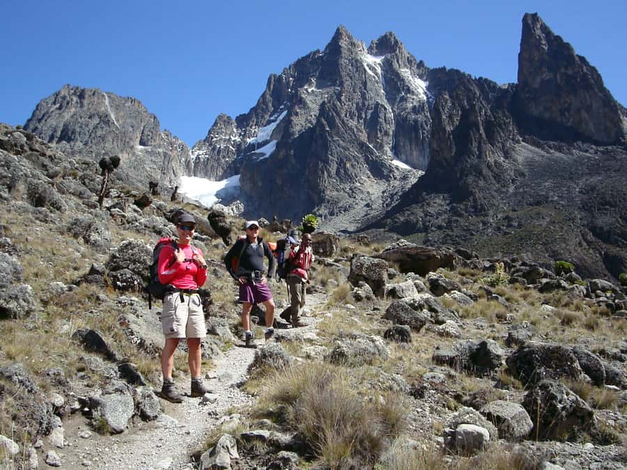 Mt Kenya: Full-day hiking tour from Nairobi - Rainforest birds, colobus monkeys, and Cape buffalo chances