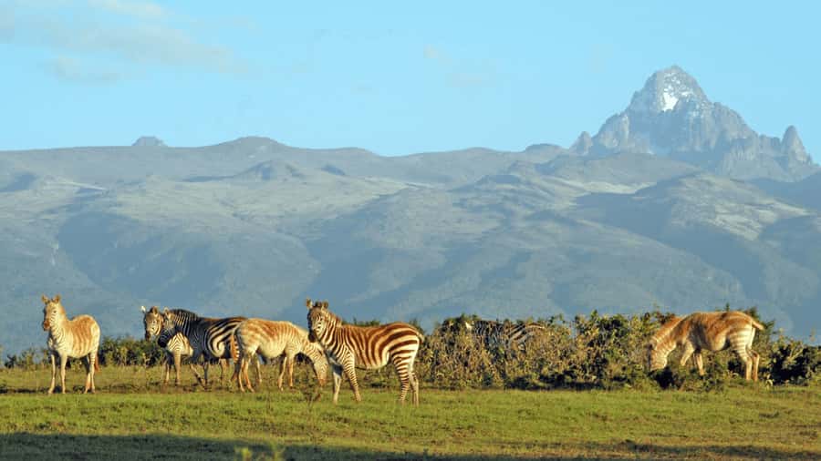 Mt Kenya: Full-day hiking tour from Nairobi - Siri Moni Gate to the Meteorological Station: your core 6-hour hike