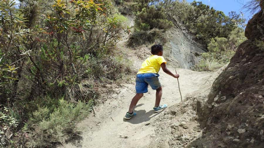 Mt Longonot National park Day Hike - Mount Longonot Day Hike From Nairobi: What the Day Really Feels Like