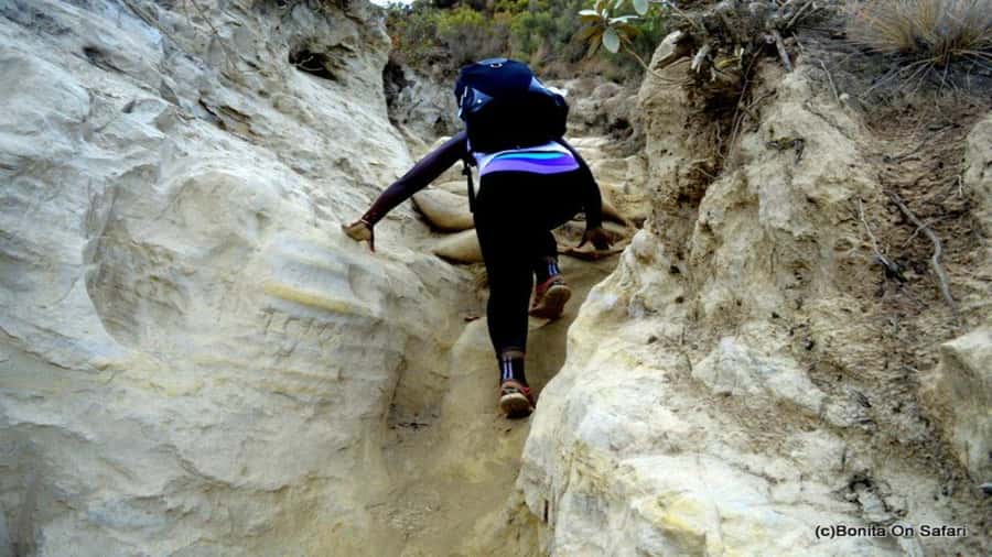 Mt Longonot National park Day Hike - Optional Lake Naivasha Time: Good for Those Who Want More Than Volcano Views