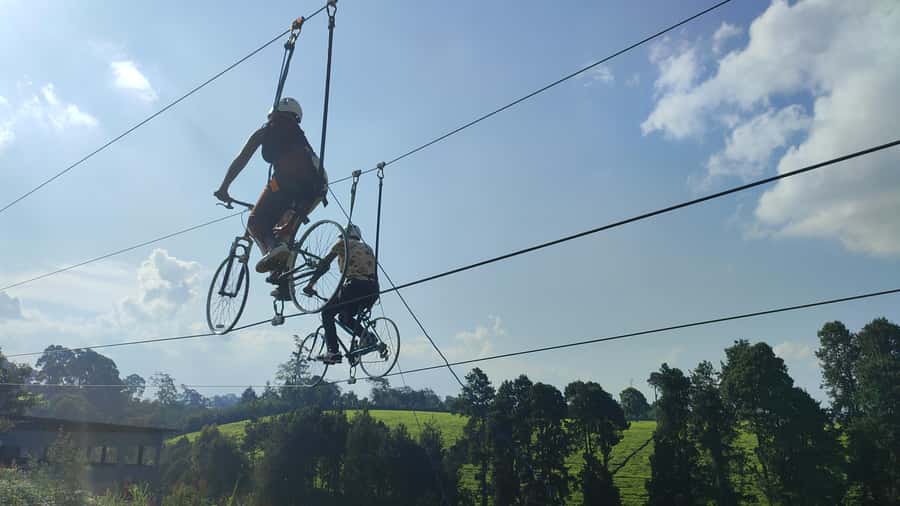 Nairobi: 1 Day of Pure Adrenaline Adventure in Kenya - High rope obstacle courses: where balance becomes the real workout
