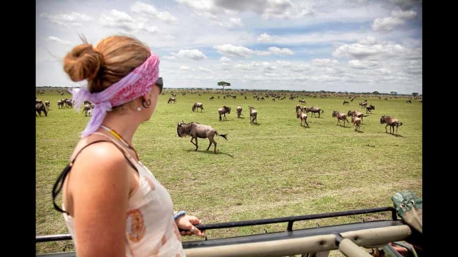 Nairobi: 3-Day Maasai Mara Group Tour with 4X4 Jeep Safari - Day 2 Full Mara Game Viewing: The Rolling Grass, Wildebeest, And The River Search