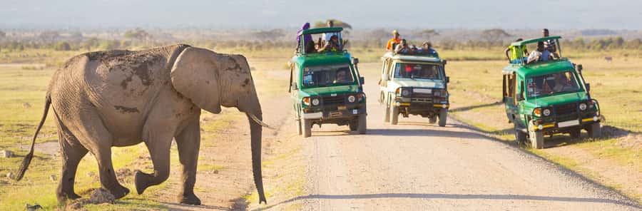 Nairobi: 3-Day Maasai Mara Group Tour with 4X4 Jeep Safari - Price And Value: What $295 Covers, And What You Must Budget For