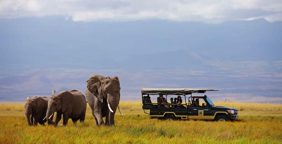 Nairobi: 4-Day Maasai Mara & Lake Nakuru Camping Safari - Mara River lunch stop, hippos, and crocodiles nearby