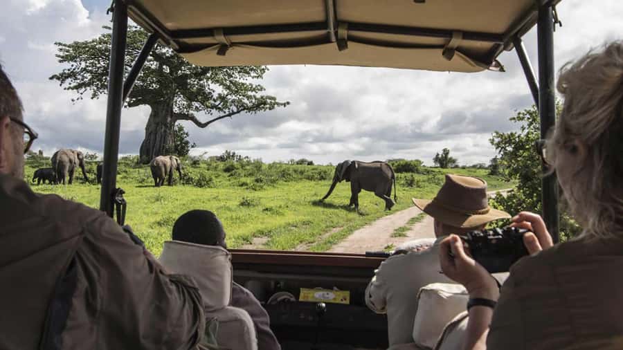 Nairobi: 4-Day Maasai Mara & Lake Nakuru Camping Safari - Where you sleep: tent nights in the Mara and a better final night