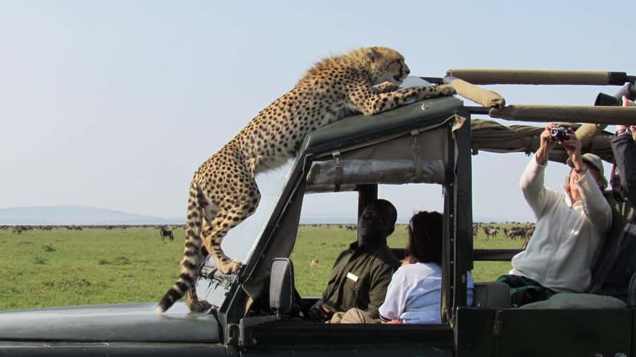 Nairobi: 4-Day Maasai Mara & Lake Nakuru Camping Safari - Price and value: what $475 really includes
