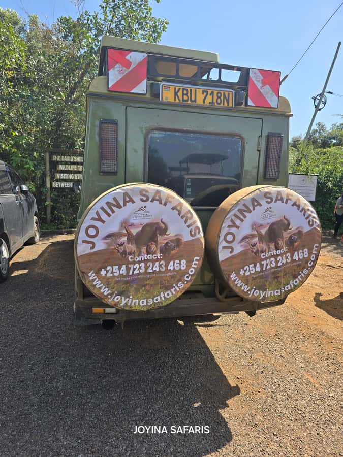 Nairobi: 4 Days Masai Mara & Lake Nakuru 4WD Camping Safari - Key highlights worth planning around