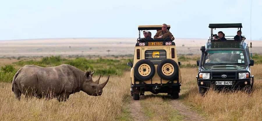 Nairobi: 4 Days Masai Mara & Lake Nakuru 4WD Camping Safari - Pickup, group size, and how to avoid a bumpy start