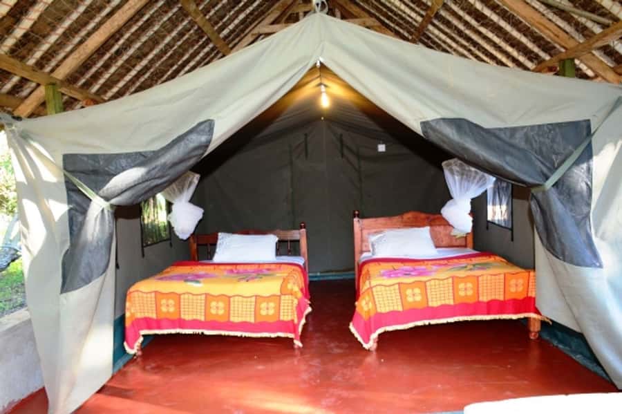 Nairobi: 5 Days Maasai Mara, Nakuru & Naivasha Tour - Price check: is $1,285 per person good value here?