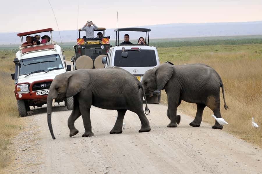 Nairobi: Amboseli National Park Day Trip with Masai Village - What to Bring for a Comfortable, Photo-Friendly Day