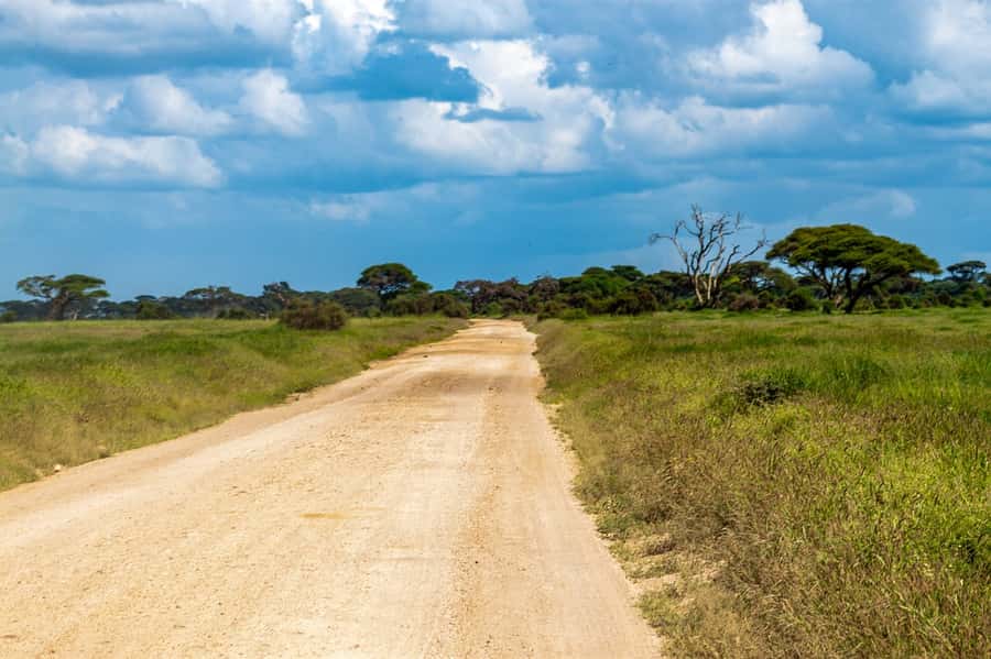 Nairobi: Amboseli National Park Tour & Maasai Village Visit - Key Things That Make This Tour Worth Your Time