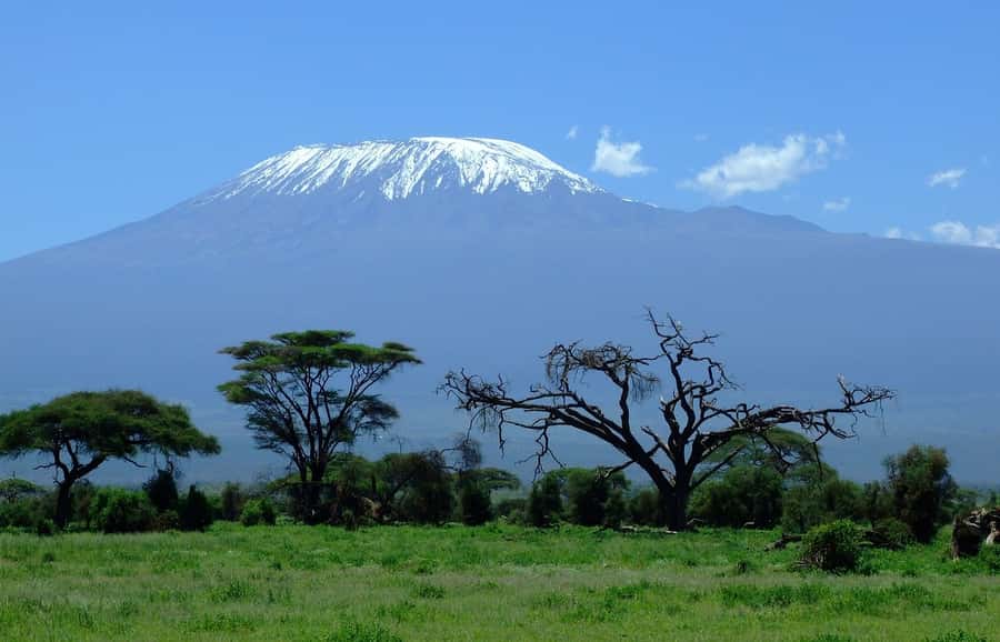 Nairobi: Amboseli National Park Tour & Maasai Village Visit - Amboseli in one day, Kilimanjaro as your bonus view