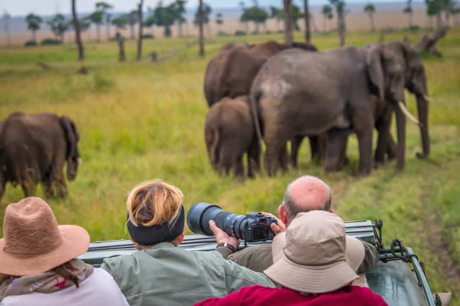 Nairobi: Amboseli National Park Tour & Maasai Village Visit - Who should book, and who should skip it