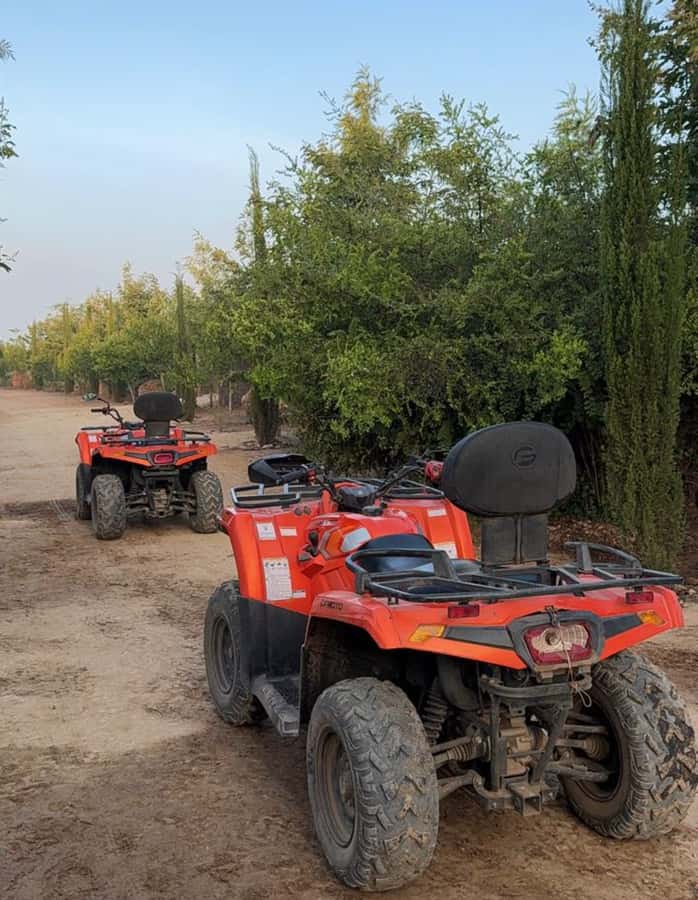 Nairobi: ATV/Quad Bike Wildlife Safari with Transfers & meal - Who This Quad Safari Is Best For (and Who Should Rethink)