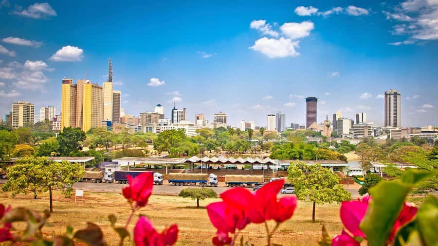 Nairobi City Guided Tour - Following the Nairobi origin story through Enkare Nyrobi