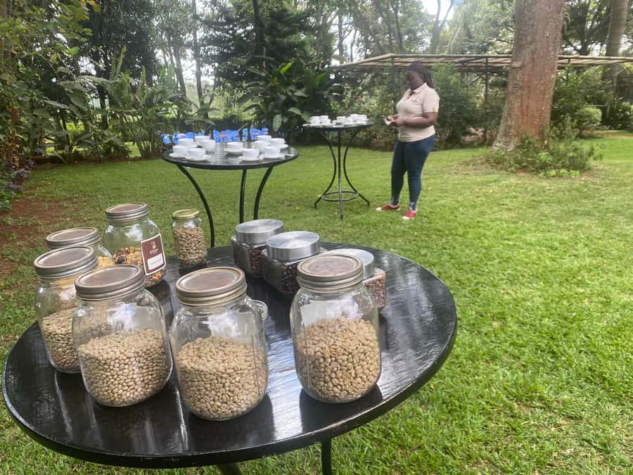 Nairobi: Coffee Factory and Farm Tour with Transfer - Key things I’d plan for before you go