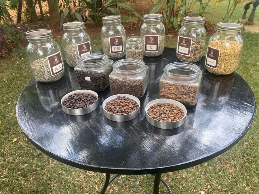 Nairobi: Coffee Factory and Farm Tour with Transfer - Nairobi-to-Fairview transfer, and why the timing feels worth it