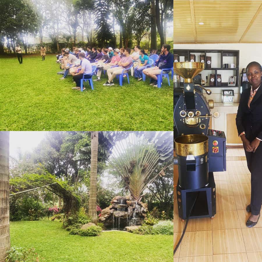 Nairobi: Coffee Factory and Farm Tour with Transfer - Buying ground or beans at the end, and how to choose