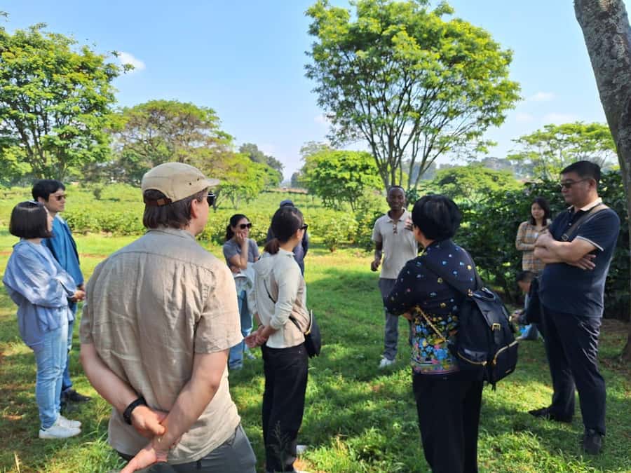 Nairobi: Coffee farm tour with pick up - Key things I’d circle before you go