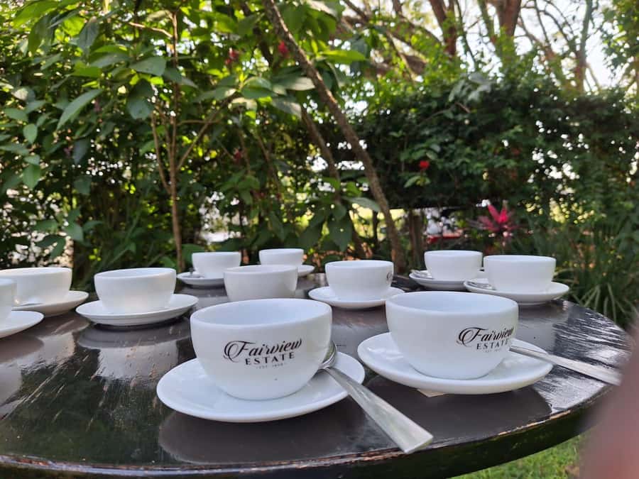 Nairobi: Coffee farm tour with pick up - Fairview Estate: the coffee farm vibe, not a coffee lecture