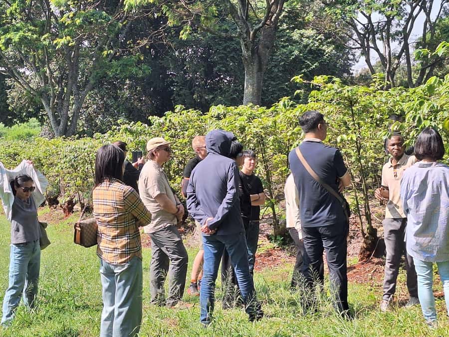 Nairobi: Coffee farm tour with pick up - The on-site shop: what to buy before you leave Kenya coffee behind
