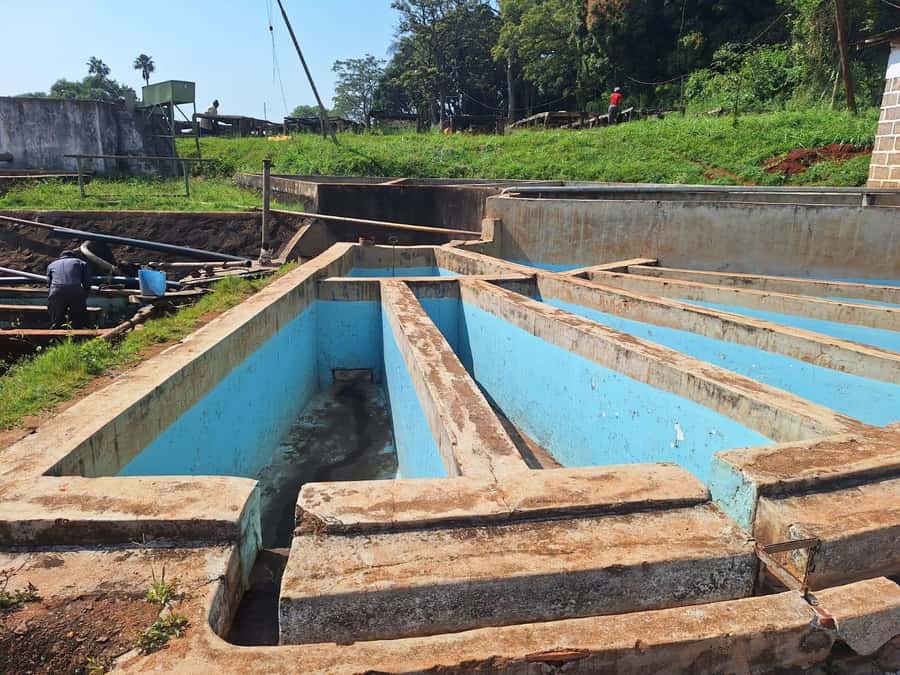 Nairobi: Coffee farm tour with pick up - Price and value: what $36 likely buys, plus the extra fee note
