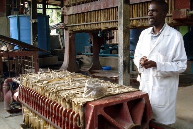 Nairobi Cultural Shopping Experience - Why This Nairobi Craft Route Feels Effortless