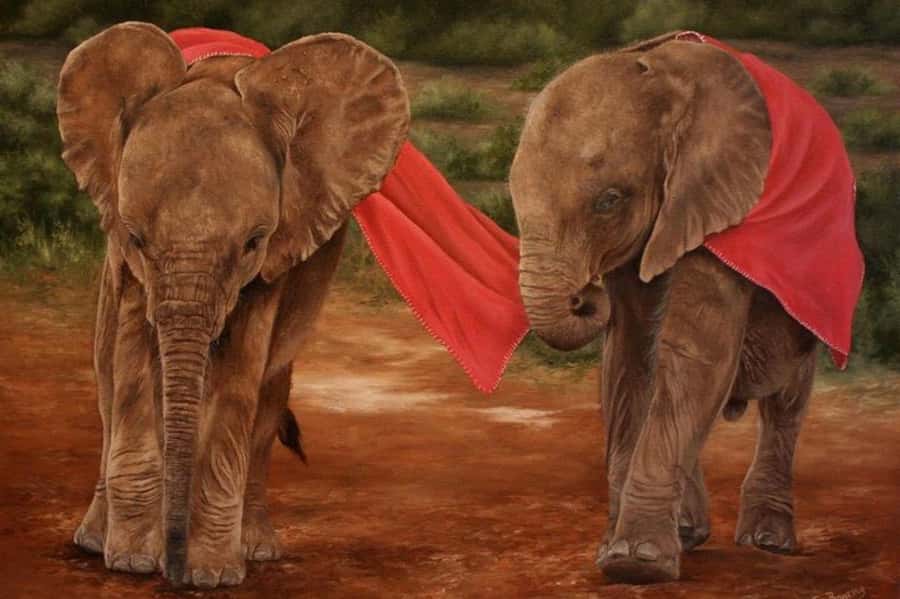 Nairobi: David Sheldrick Elephant Orphanage Visit - The Nairobi pickup and the one-hour window that rules your day