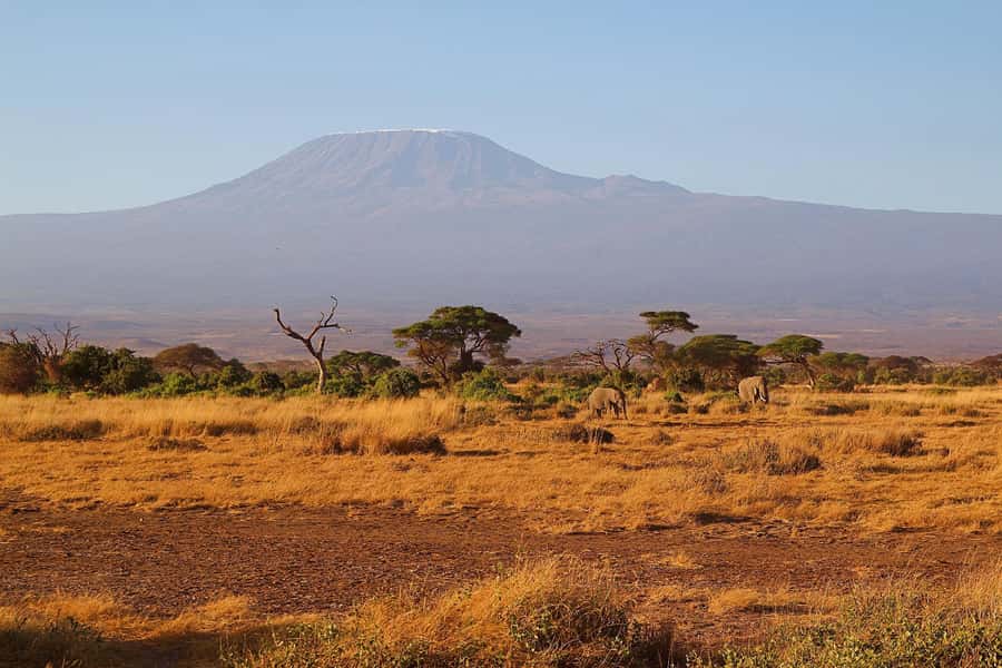 Nairobi: Day Tour to Amboseli National Park & Maasai Village - Practical Tips Before You Go (So You Actually Enjoy the Day)