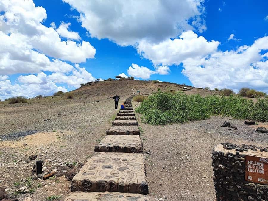 Nairobi: Day Trip to Amboseli National Park - Price and Value: $190 Plus the Extra Fees