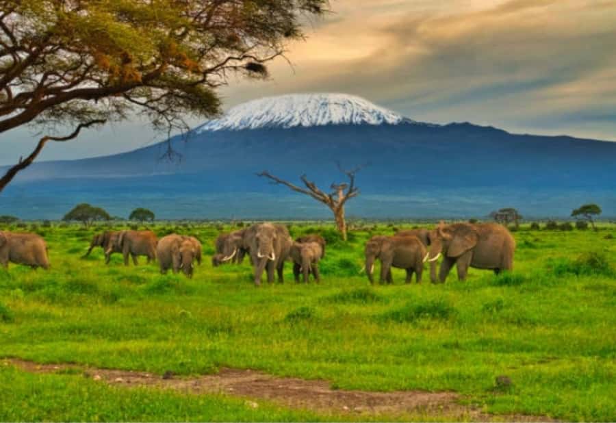 Nairobi:Day trip to Amboseli National park & Maasai village - Leaving Nairobi early, and why the drive matters