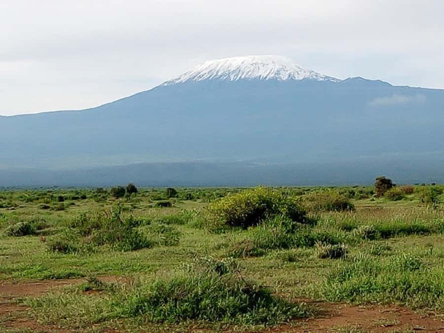 Nairobi: Day Trip to Amboseli National Park - The Entrance Day Moment, Plus Kilimanjaro on the Horizon