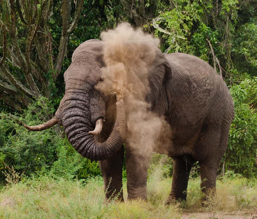 Nairobi: Day Trip to Maasai Mara Reserve & Maasai village - What the 13 hours actually feels like