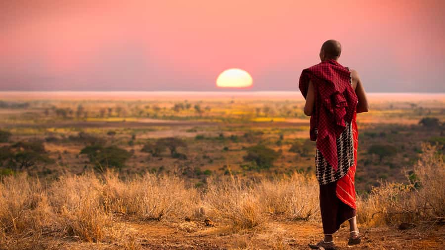 Nairobi: Day Trip to Maasai Mara Reserve & Maasai village - Your safari vehicle: shared van vs 4x4 Land Cruiser