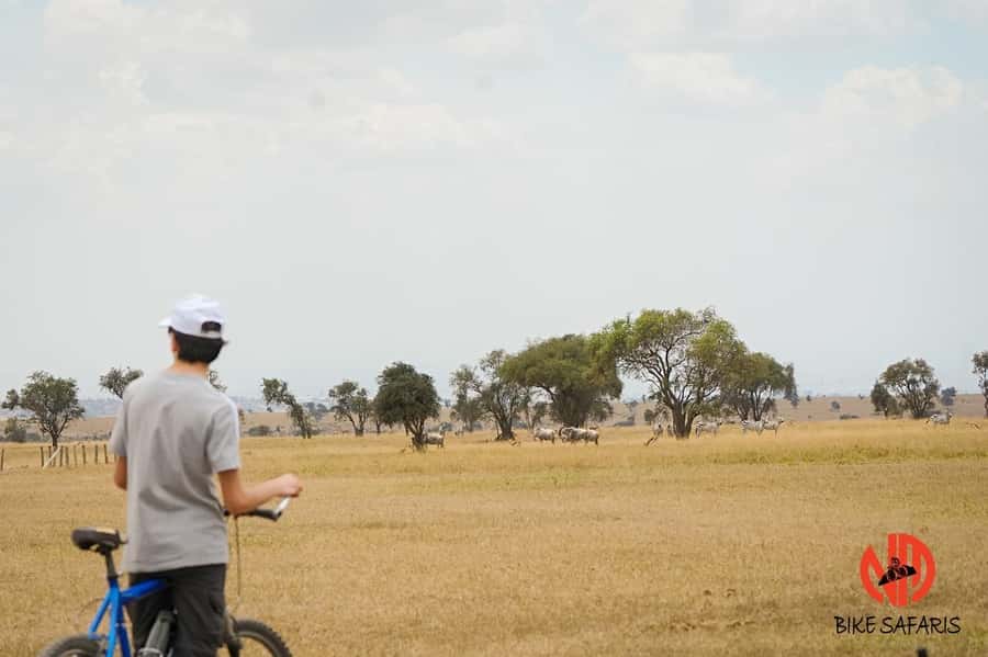 Nairobi: E-Bike/Cycling Wildlife Safari with Transfer & meal - Key points before you go