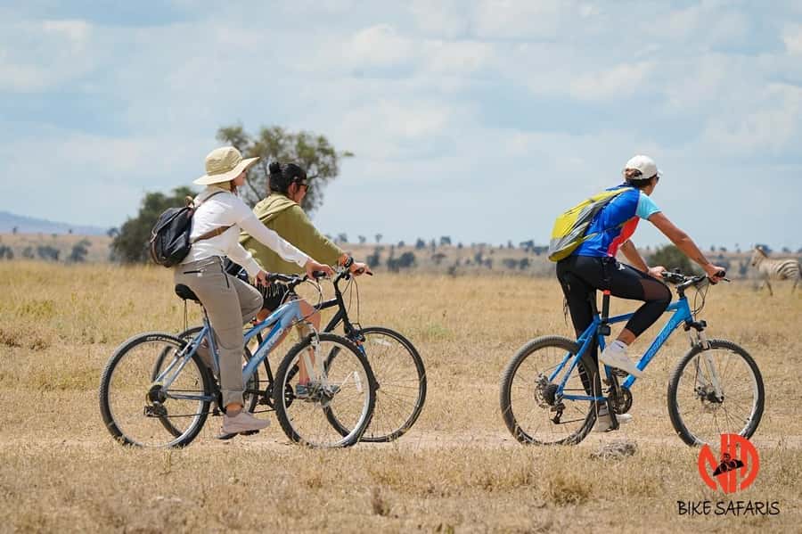 Nairobi: E-Bike/Cycling Wildlife Safari with Transfer & meal - Wildlife sightings you can reasonably plan around