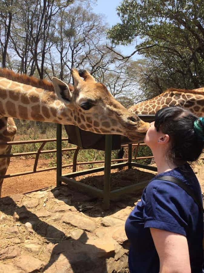 Nairobi: Elephant Orphanage, Beads Factory , giraffe center - Giraffe Centre: Semi-Wild Giraffes and a Real Change of Pace