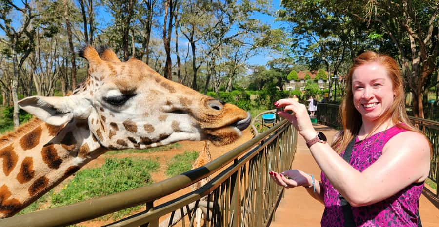 Nairobi: Elephant Orphanage Trust and Giraffe Center Tour - Learning conservation at the giraffe stop, not just taking photos