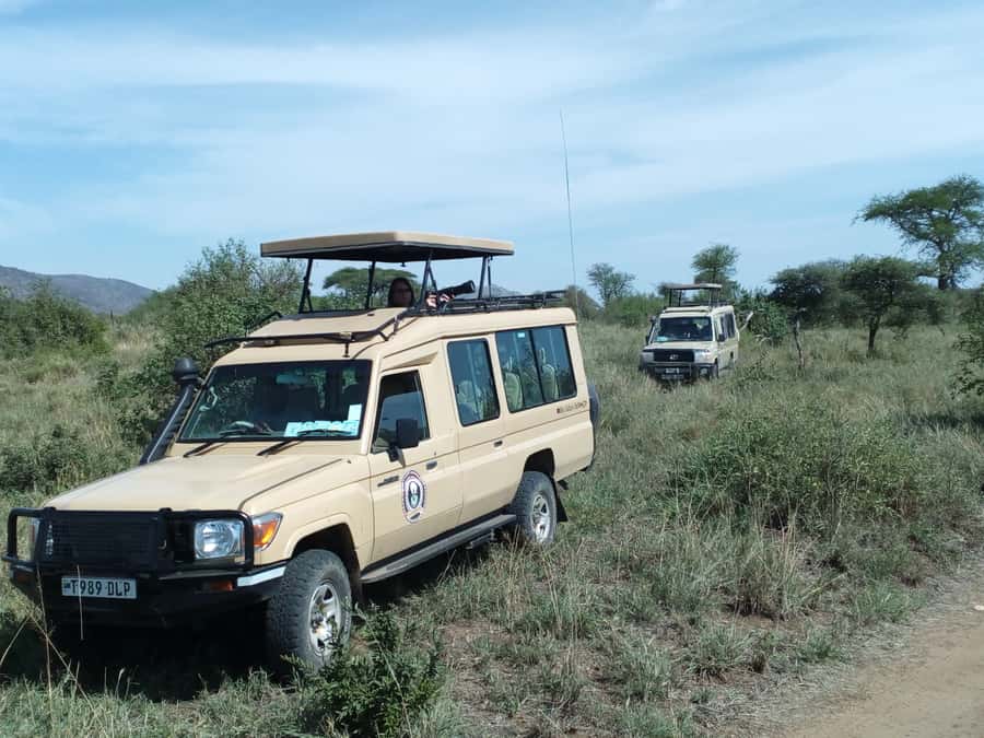 Nairobi: Elephants, Giraffes, Karen Blixen & Bomas Tour - Key things to know before you go