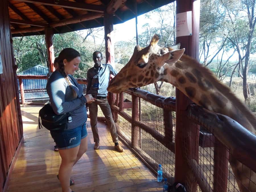 Nairobi: Elephants, Giraffes, Karen Blixen & Bomas Tour - The day starts right: hotel pickup and a full schedule