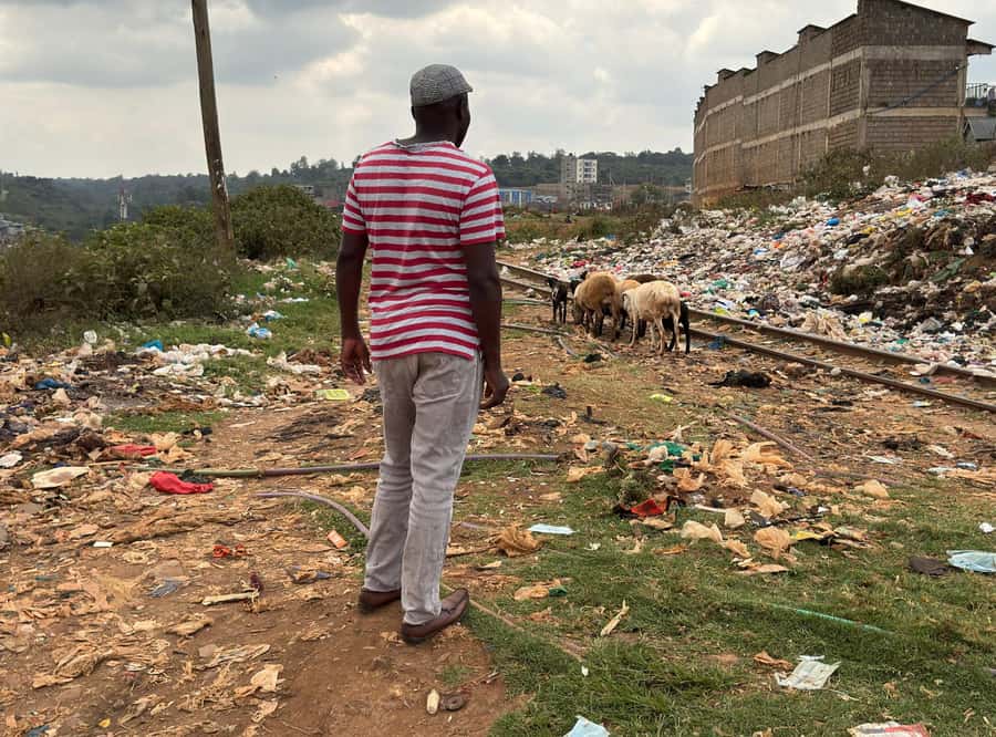 Nairobi: Explore Kibera Slum with Local Guides - Home Visit: Water, Electricity, Bathroom Systems, and Real House Size