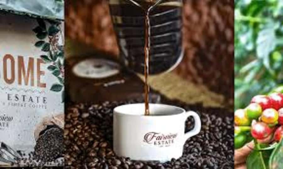 Nairobi: Fairview Coffee Estate Tour with Pickup - Key things to know before you go