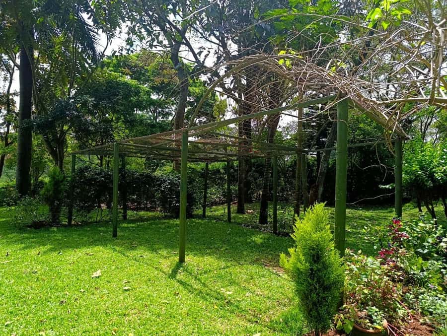 Nairobi: Fairview Coffee Estate Tour with Pickup - The roasting workshop: firewood jiko roast, grind, and bag