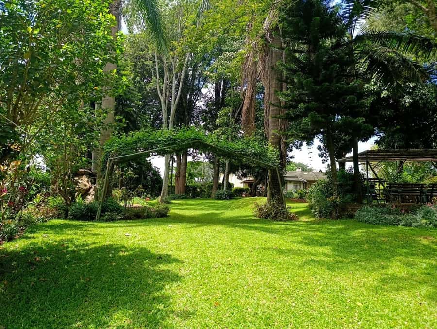 Nairobi: Fairview Coffee Estate Tour with Pickup - Terrace snacks and refreshments: ending the right way