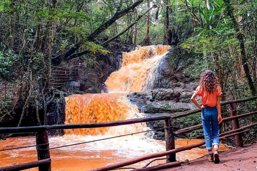 Nairobi: From Nairobi-Karura Forest Guided Walking Tour - From International House to Karura Forest, no big travel day required