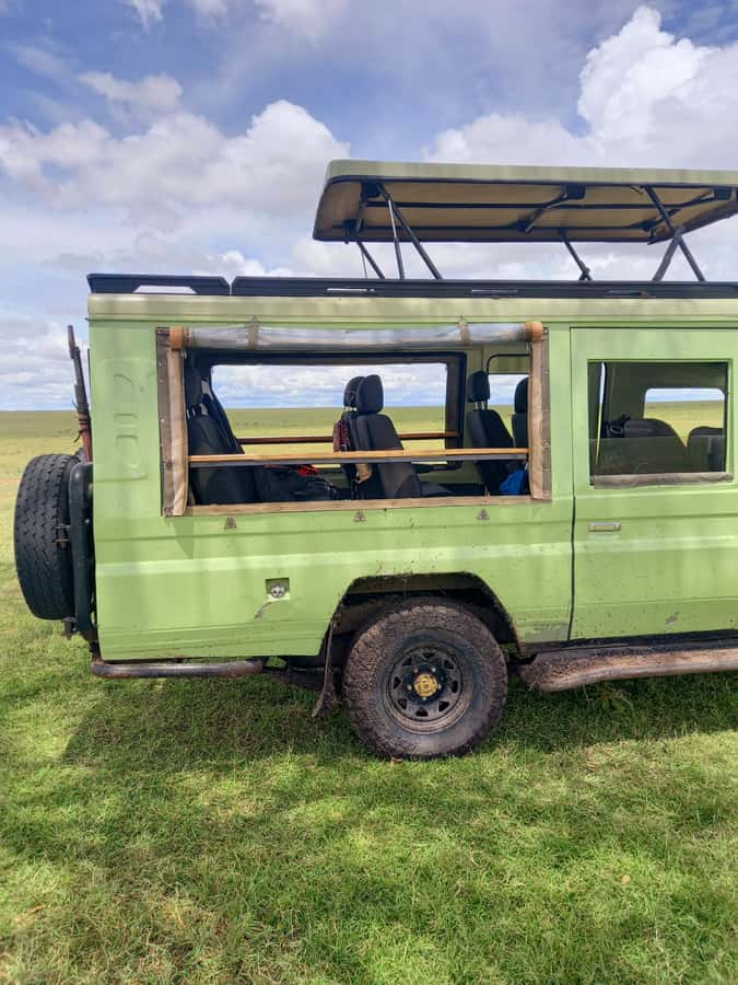 Nairobi: Game drive, elephant Orphanage & giraffe centre. - Final call, should you book this Nairobi game drive, orphanage, and giraffe day?