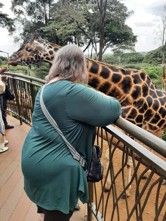 Nairobi: Game drive, elephant Orphanage & giraffe centre. - Who this Nairobi day fits best