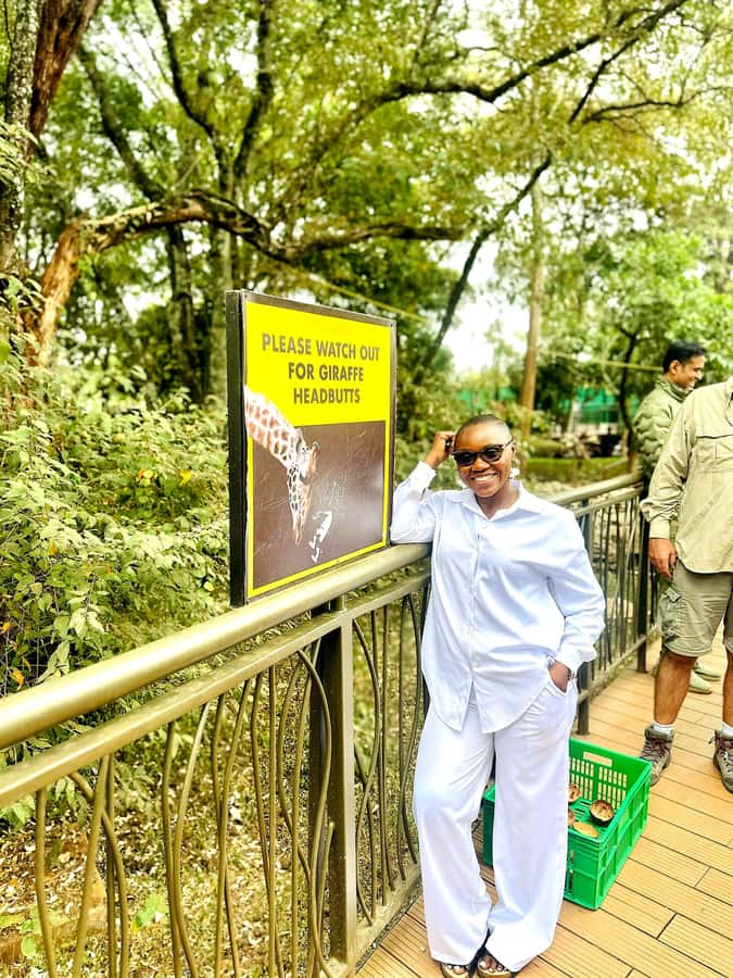 Nairobi: Game drive, elephant Orphanage & giraffe centre. - What makes the guidance here worth it